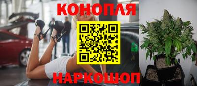 стаф Лесосибирск